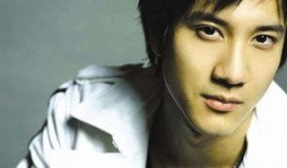 王力宏美国爆料视频大全,揭秘娱乐圈背后的真相